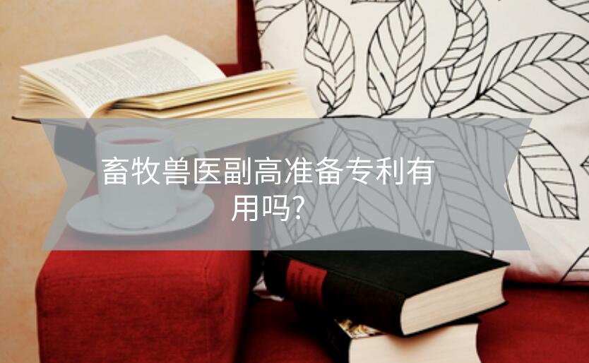 畜牧獸醫副高準備專利有用嗎?