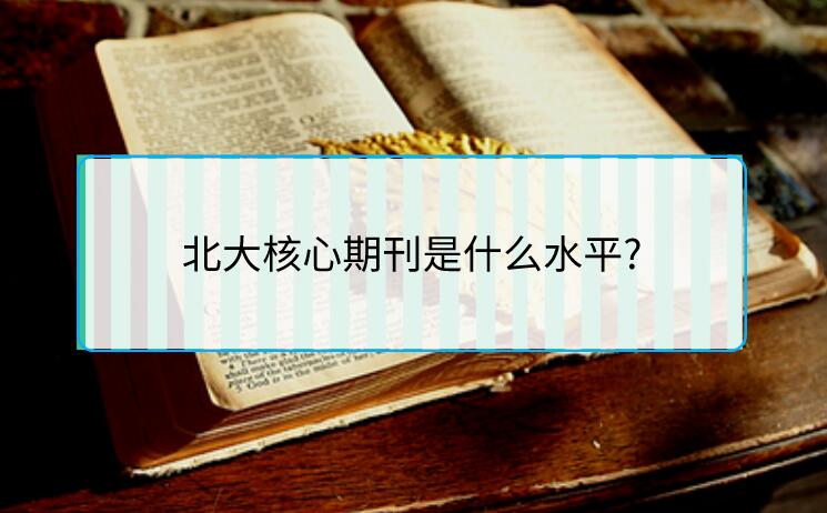 北大核心期刊是什么水平?