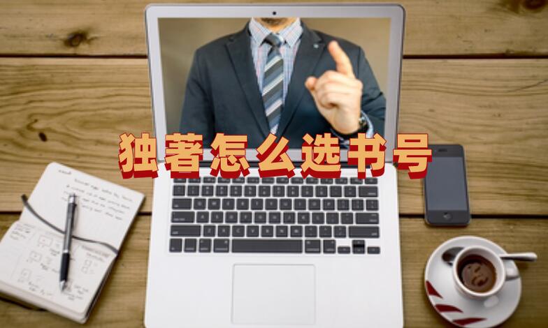 獨著怎么選書號