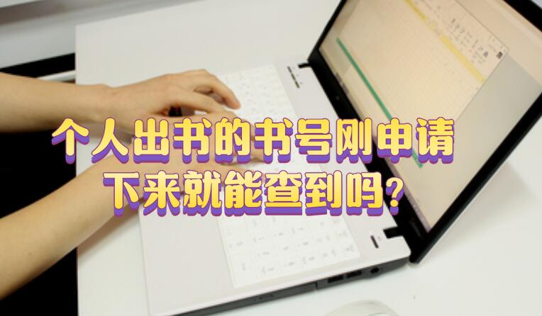個(gè)人出書(shū)的書(shū)號(hào)剛申請(qǐng)下來(lái)就能查到嗎?