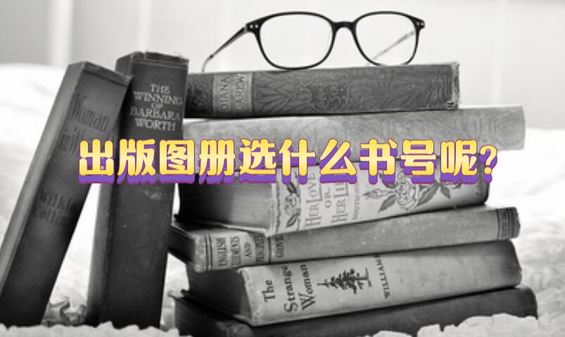 出版圖冊(cè)選什么書號(hào)