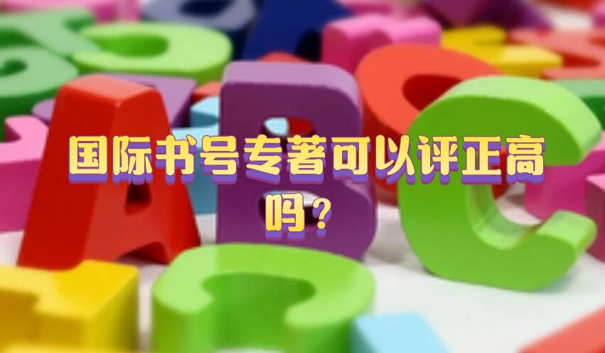 國際書號專著可以評正高嗎