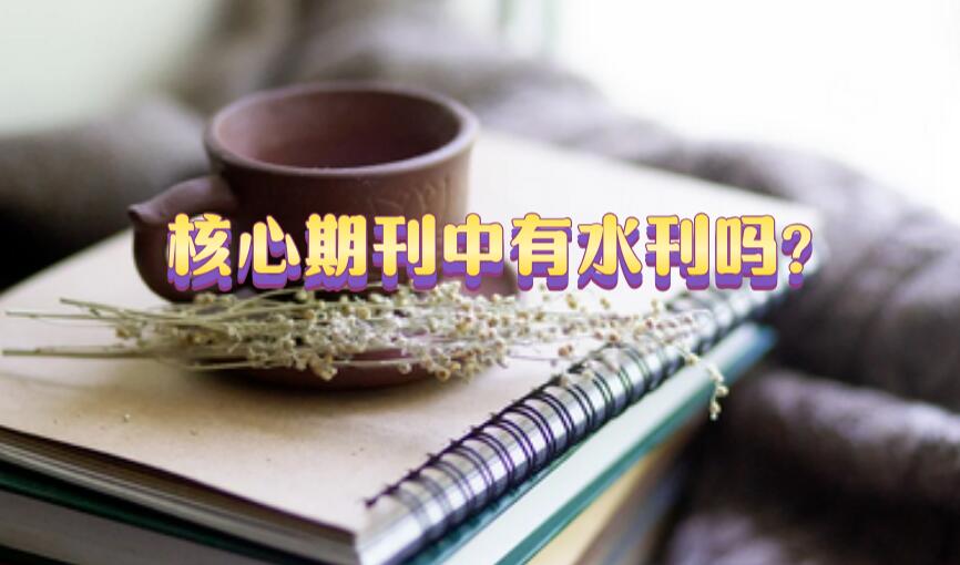 核心期刊中有水刊嗎?