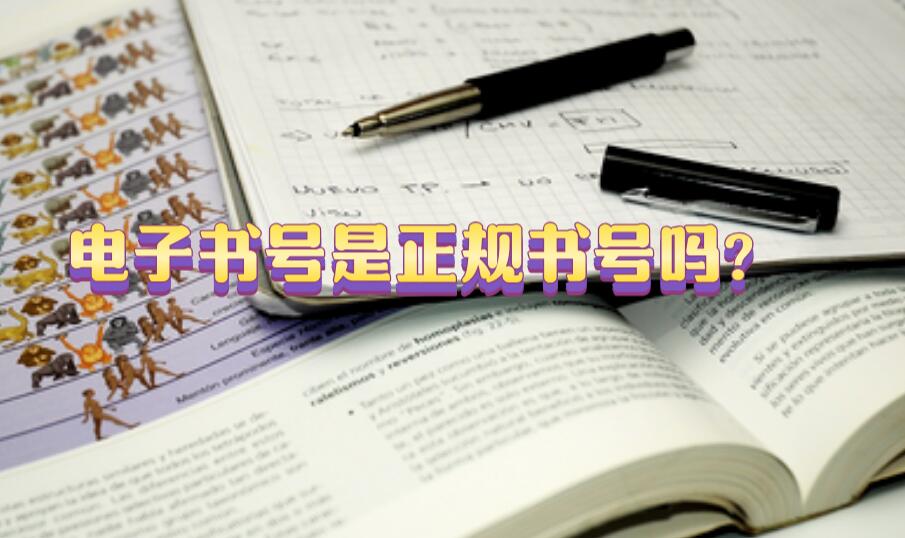 電子書號是正規書號嗎?