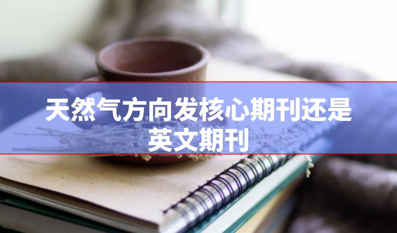 天然氣方向發核心期刊還是英文期刊