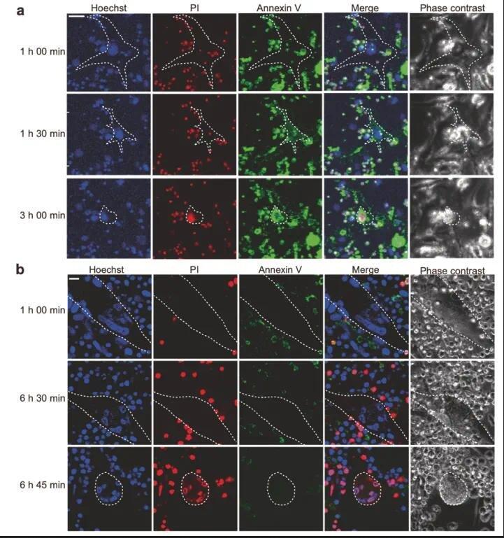 點擊查看原始圖片
