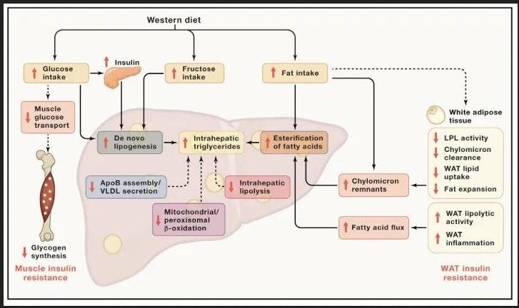 點擊查看原始圖片