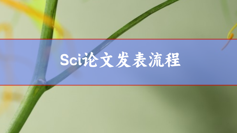 sci論文發表流程