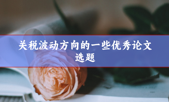 關(guān)稅波動論文選題