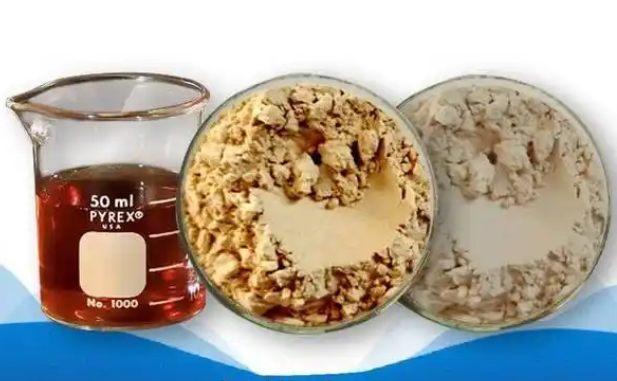 纖維素酶論文選題