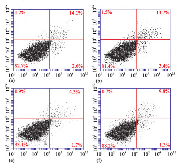 骨關(guān)節(jié)炎論文范文