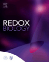 redox biology的投稿要求