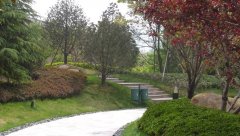 園林設計在現代景觀中的應用