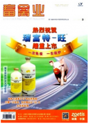 畜禽養殖科學處理排泄物污染