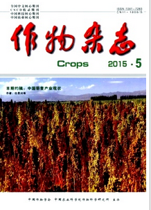 作物雜志