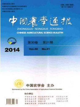 環(huán)境中級工程師論文