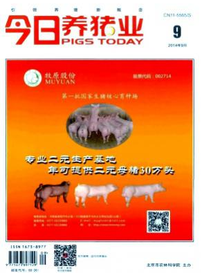 今日養(yǎng)豬業(yè)