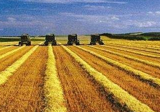 農業系列職稱評審條件