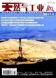 天然氣工業(yè)