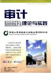 審計理論與實踐