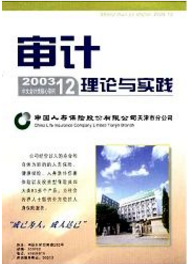 審計理論與實踐