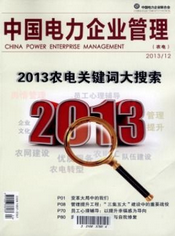 中國電力企業管理