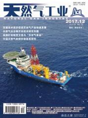 天然氣工業(yè)