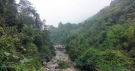 林業工程師論文