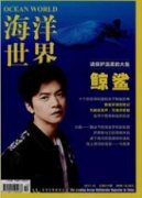 桐柏縣和灣水庫除險(xiǎn)加固工程措施