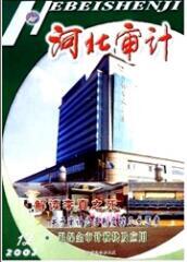 審計工程師論文