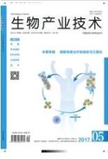 生物工程師論文