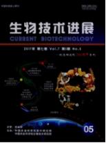 生物工程師論文