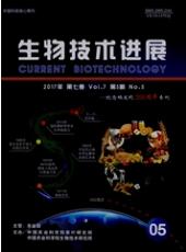 生物工程師論文