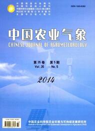 氣象工程師論文