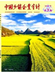 中國鄉(xiāng)鎮(zhèn)企業(yè)會計