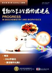 生物化學(xué)與生物物理進展