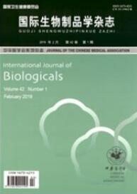 生物工程師論文