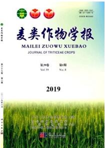 麥類作物學報