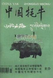 中國耗牛