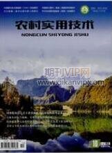 農(nóng)村實用技術(shù)