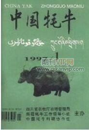 中國耗牛