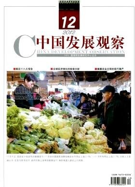 中國發展觀察