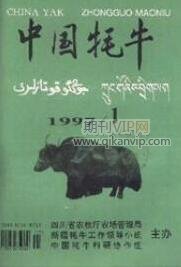中國(guó)牦牛