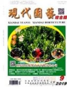 南京山岳風景與城市關系歷史研究