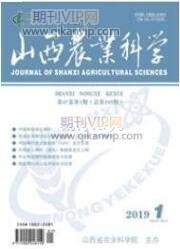 生態工程師論文