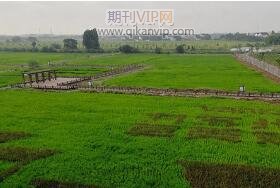 林業(yè)工程師論文