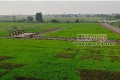 巖土工程深基坑支護(hù)施工技術(shù)