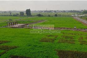 農(nóng)林類sci論文