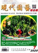 城市道路綠化景觀園林設計及施工要點探析