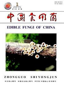 中國食用菌